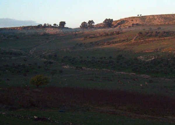 | موسوعة القرى الفلسطينية  | موسوعة القرى الفلسطينية