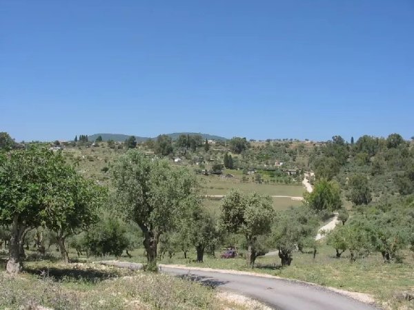 | موسوعة القرى الفلسطينية  | موسوعة القرى الفلسطينية