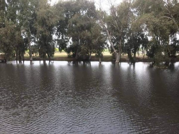 | موسوعة القرى الفلسطينية  | موسوعة القرى الفلسطينية