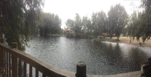 | موسوعة القرى الفلسطينية  | موسوعة القرى الفلسطينية