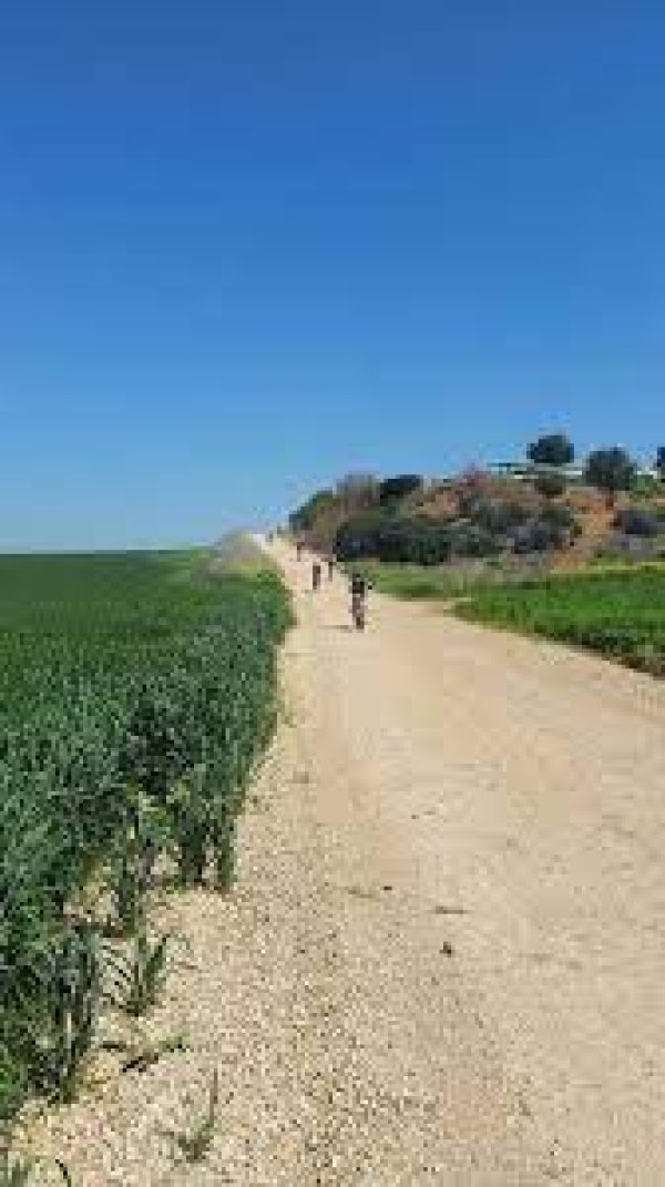 | موسوعة القرى الفلسطينية  | موسوعة القرى الفلسطينية