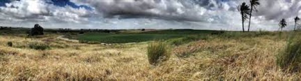 | موسوعة القرى الفلسطينية  | موسوعة القرى الفلسطينية