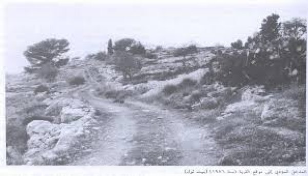 قرية الجورة قرية الجورة
