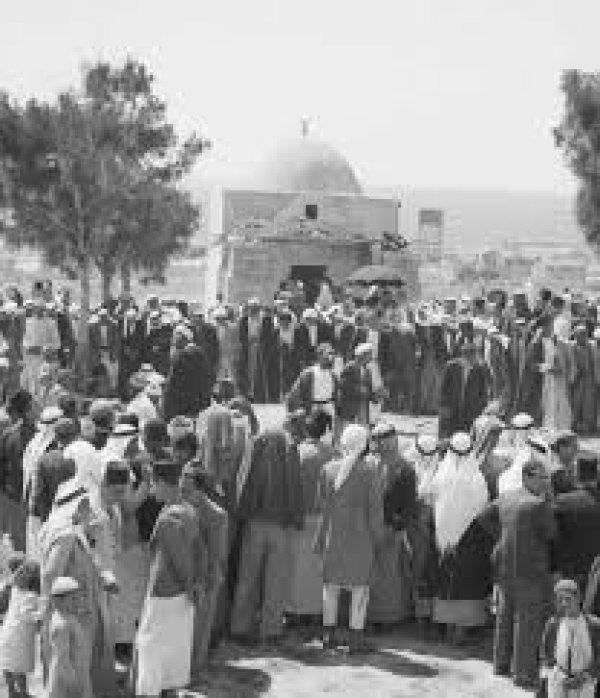 قرية الجورة قرية الجورة