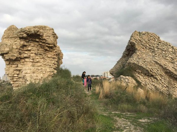 | موسوعة القرى الفلسطينية  | موسوعة القرى الفلسطينية