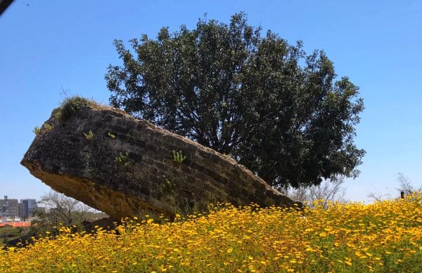 | موسوعة القرى الفلسطينية  | موسوعة القرى الفلسطينية