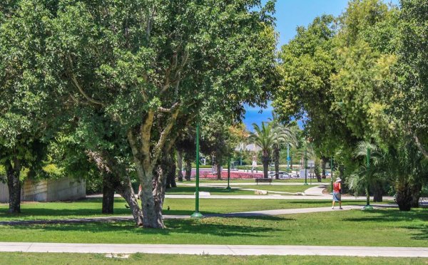 | موسوعة القرى الفلسطينية  | موسوعة القرى الفلسطينية