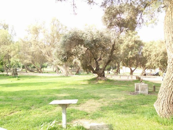 | موسوعة القرى الفلسطينية  | موسوعة القرى الفلسطينية