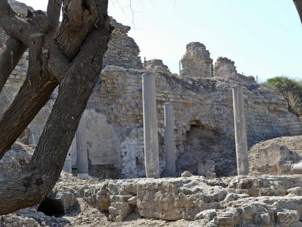 | موسوعة القرى الفلسطينية  | موسوعة القرى الفلسطينية