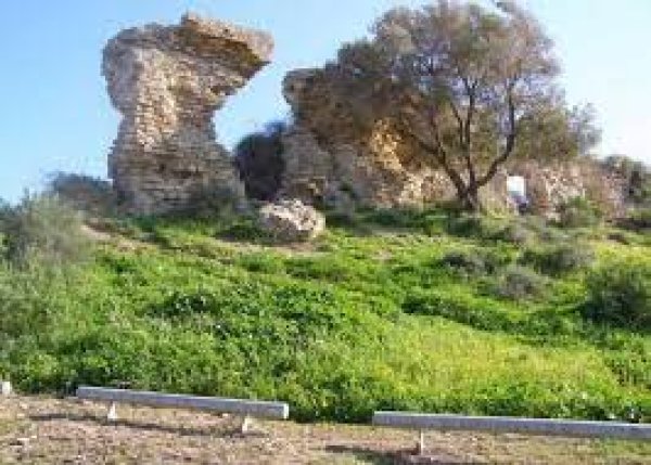 | موسوعة القرى الفلسطينية  | موسوعة القرى الفلسطينية