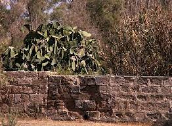 | موسوعة القرى الفلسطينية  | موسوعة القرى الفلسطينية