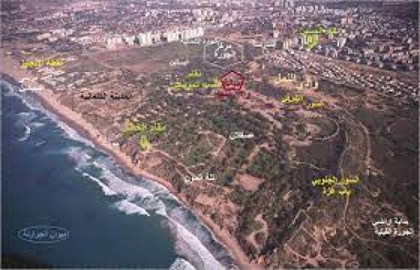 | موسوعة القرى الفلسطينية  | موسوعة القرى الفلسطينية