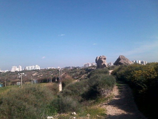 | موسوعة القرى الفلسطينية  | موسوعة القرى الفلسطينية