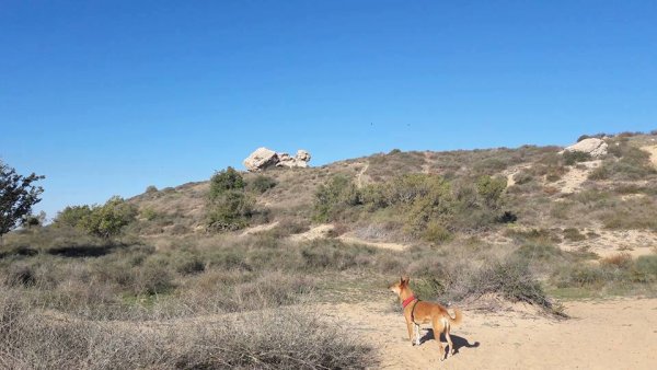 | موسوعة القرى الفلسطينية  | موسوعة القرى الفلسطينية