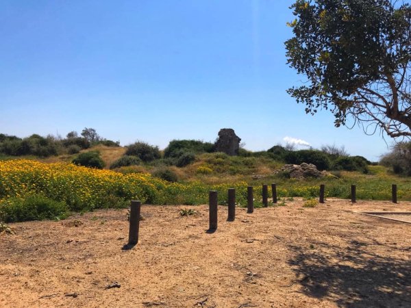 | موسوعة القرى الفلسطينية  | موسوعة القرى الفلسطينية