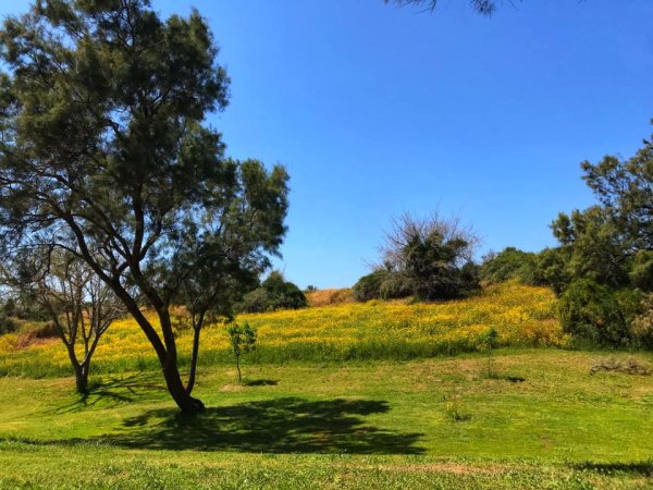 | موسوعة القرى الفلسطينية  | موسوعة القرى الفلسطينية