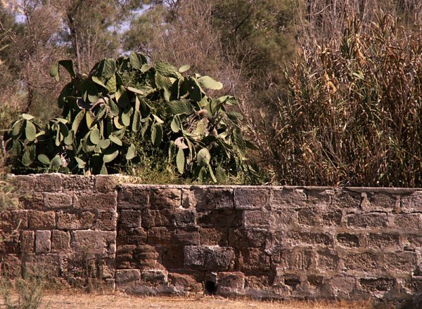 | موسوعة القرى الفلسطينية  | موسوعة القرى الفلسطينية