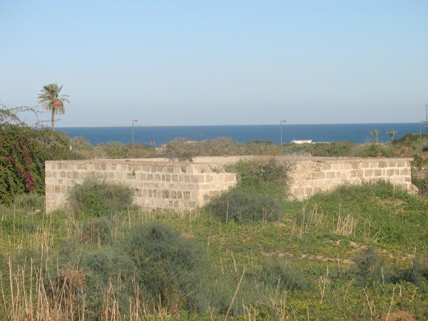 | موسوعة القرى الفلسطينية  | موسوعة القرى الفلسطينية