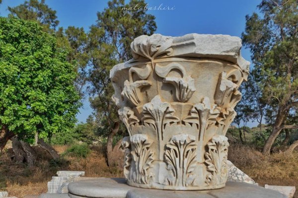 | موسوعة القرى الفلسطينية  | موسوعة القرى الفلسطينية