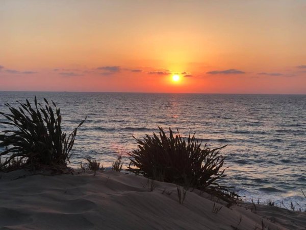 | موسوعة القرى الفلسطينية  | موسوعة القرى الفلسطينية