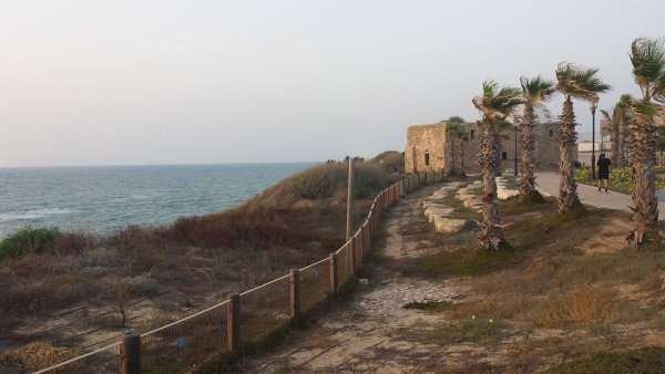 | موسوعة القرى الفلسطينية  | موسوعة القرى الفلسطينية