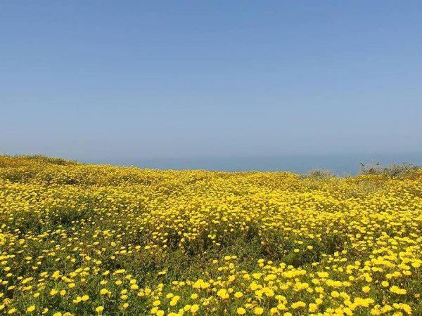 | موسوعة القرى الفلسطينية  | موسوعة القرى الفلسطينية