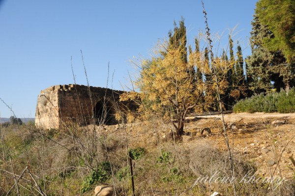 | موسوعة القرى الفلسطينية  | موسوعة القرى الفلسطينية