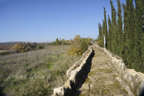 | موسوعة القرى الفلسطينية  | موسوعة القرى الفلسطينية