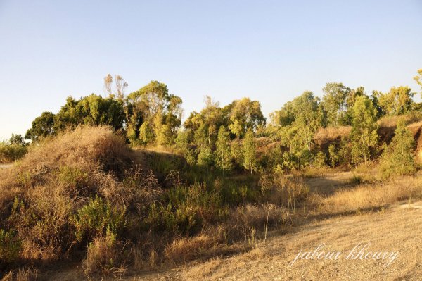 | موسوعة القرى الفلسطينية  | موسوعة القرى الفلسطينية