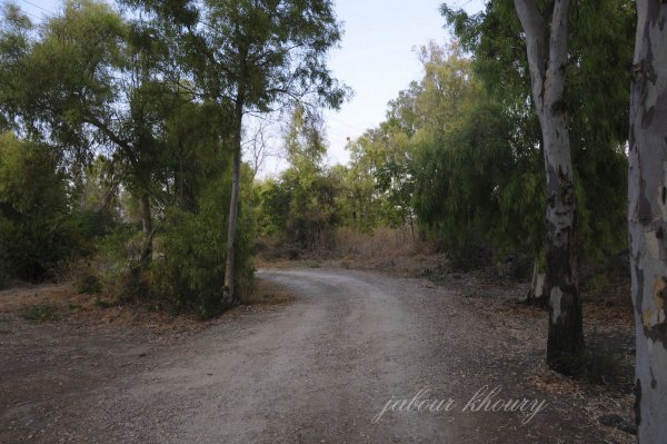 | موسوعة القرى الفلسطينية  | موسوعة القرى الفلسطينية