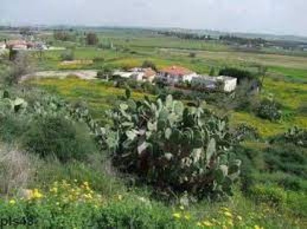 | موسوعة القرى الفلسطينية  | موسوعة القرى الفلسطينية