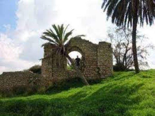 | موسوعة القرى الفلسطينية  | موسوعة القرى الفلسطينية