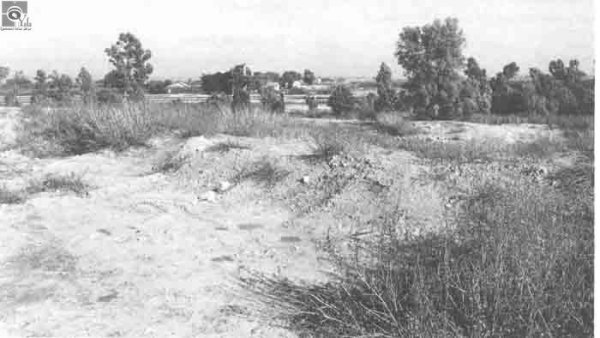 قرية السوافير الشمالية قرية السوافير الشمالية