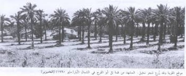 قرية السوافير الشمالية قرية السوافير الشمالية