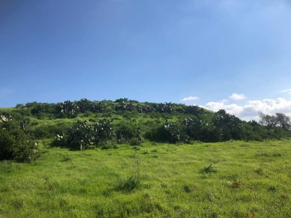 | موسوعة القرى الفلسطينية  | موسوعة القرى الفلسطينية