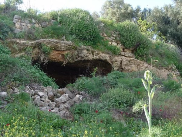 | موسوعة القرى الفلسطينية  | موسوعة القرى الفلسطينية