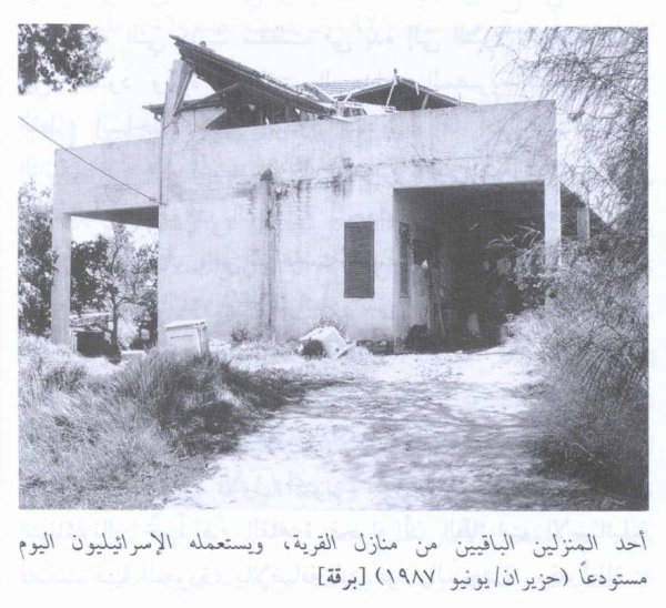 قرية برقة / غزة قرية برقة / غزة