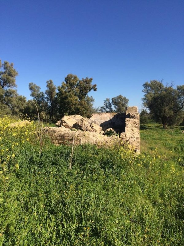  | موسوعة القرى الفلسطينية