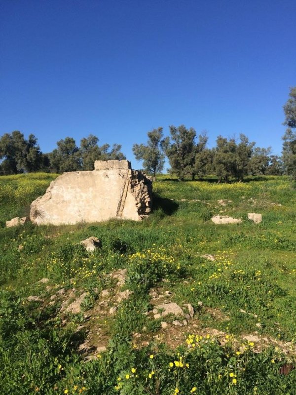  | موسوعة القرى الفلسطينية