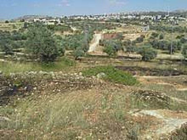  | موسوعة القرى الفلسطينية