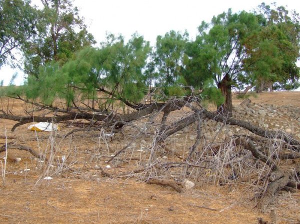  | موسوعة القرى الفلسطينية