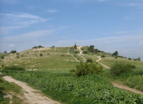  | موسوعة القرى الفلسطينية