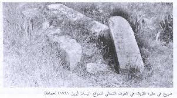 قرية حمامه قرية حمامه