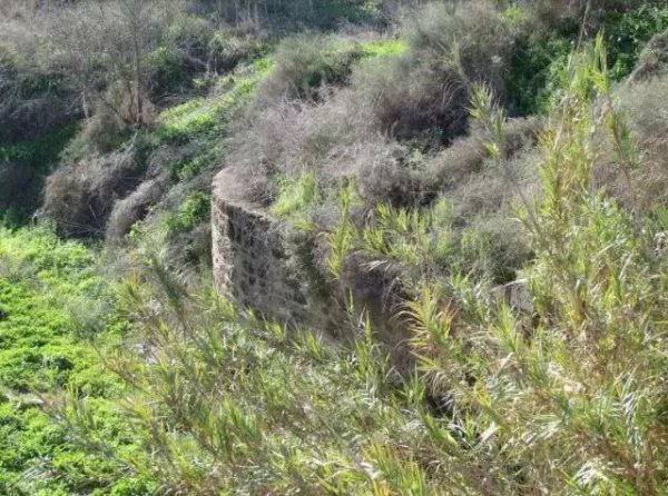  | موسوعة القرى الفلسطينية