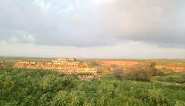  | موسوعة القرى الفلسطينية