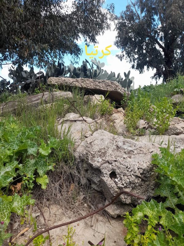  | موسوعة القرى الفلسطينية