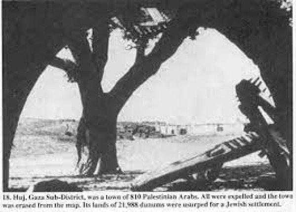 صور نادرة لقرية هوج قبل النكبة