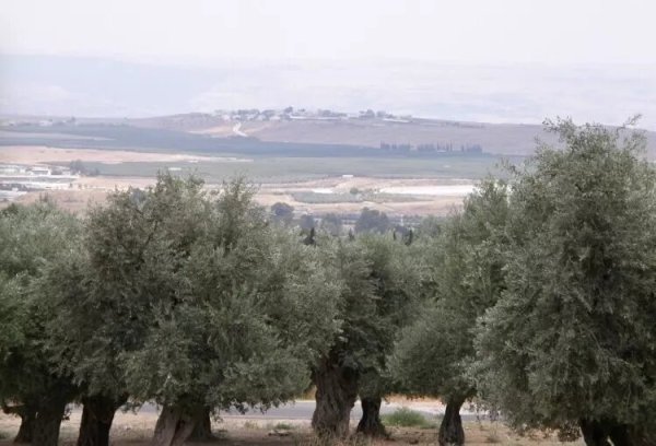  | موسوعة القرى الفلسطينية