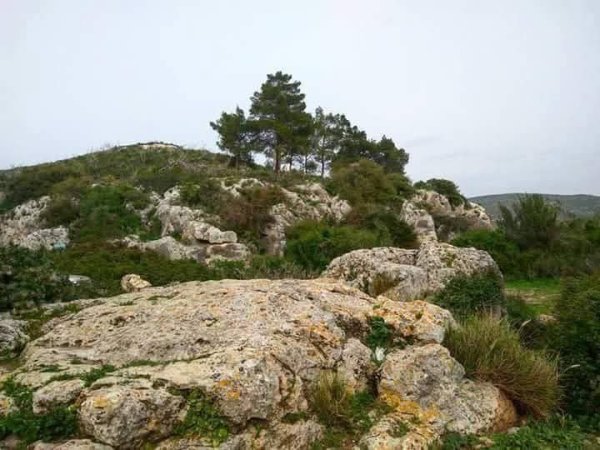  | موسوعة القرى الفلسطينية