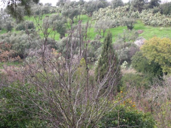  | موسوعة القرى الفلسطينية